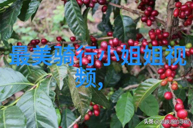 周边好玩的旅游景点推荐 - 探索未知周边热门目的地解析