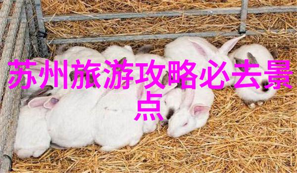 石家庄奔驰C级车友会探索中国旅游排行榜人气榜2023的社会影响