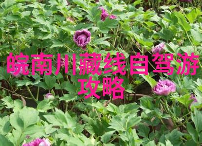 天地逆转扭转乾坤之情咒的秘密