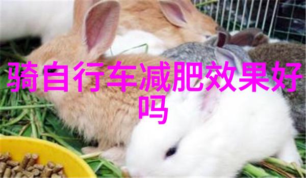 那些年我们一起去过的必去景点真的值得一趟吗