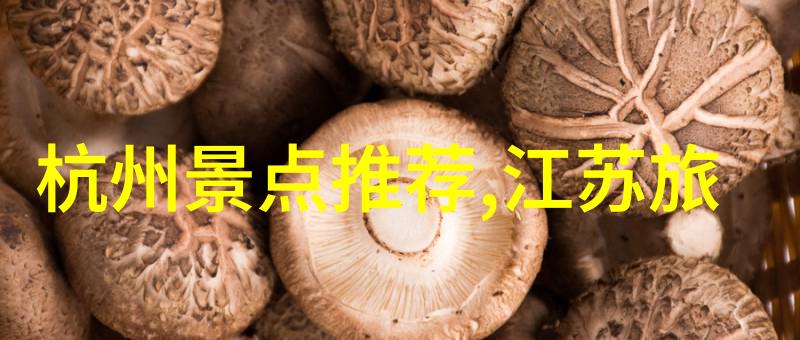 苏州美景巡礼探索古典园林与现代魅力