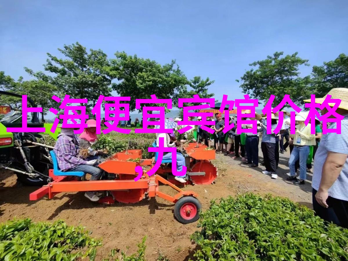 九华山旅游住宿策略白玉兰成功C位出道背后的正确做法