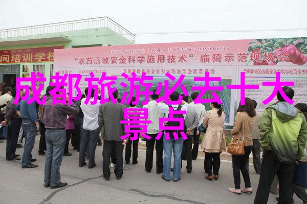荒野求生与城市街头户外小游戏的反差篇