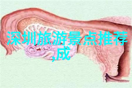 探索南普陀寺背后的文化故事和迷信传说