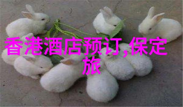 8月份自驾游适合旅游的地方我去哪儿夏日八月的最佳自驾目的地