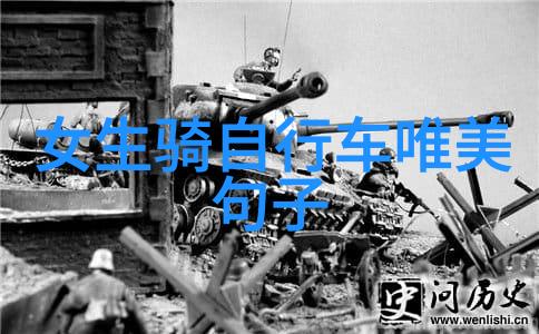 骑行20公里是否如同DAHON大行折叠自行车闪耀夺目一般的高强度挑战