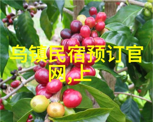 户外探险大班幼儿的活动宝库