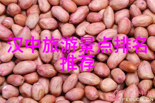 团建趣味活动亲子相伴的欢乐时光