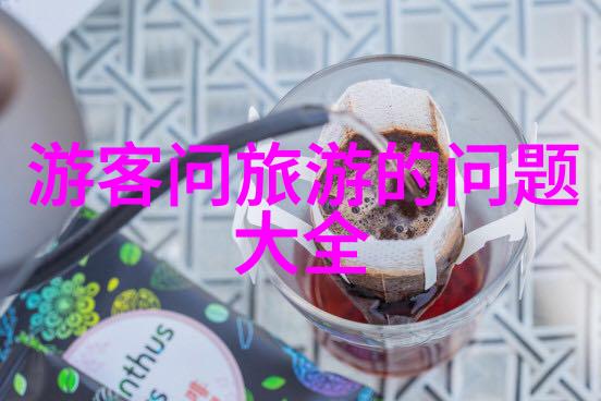 少将夫人归家之请军旅生涯与家庭的平衡