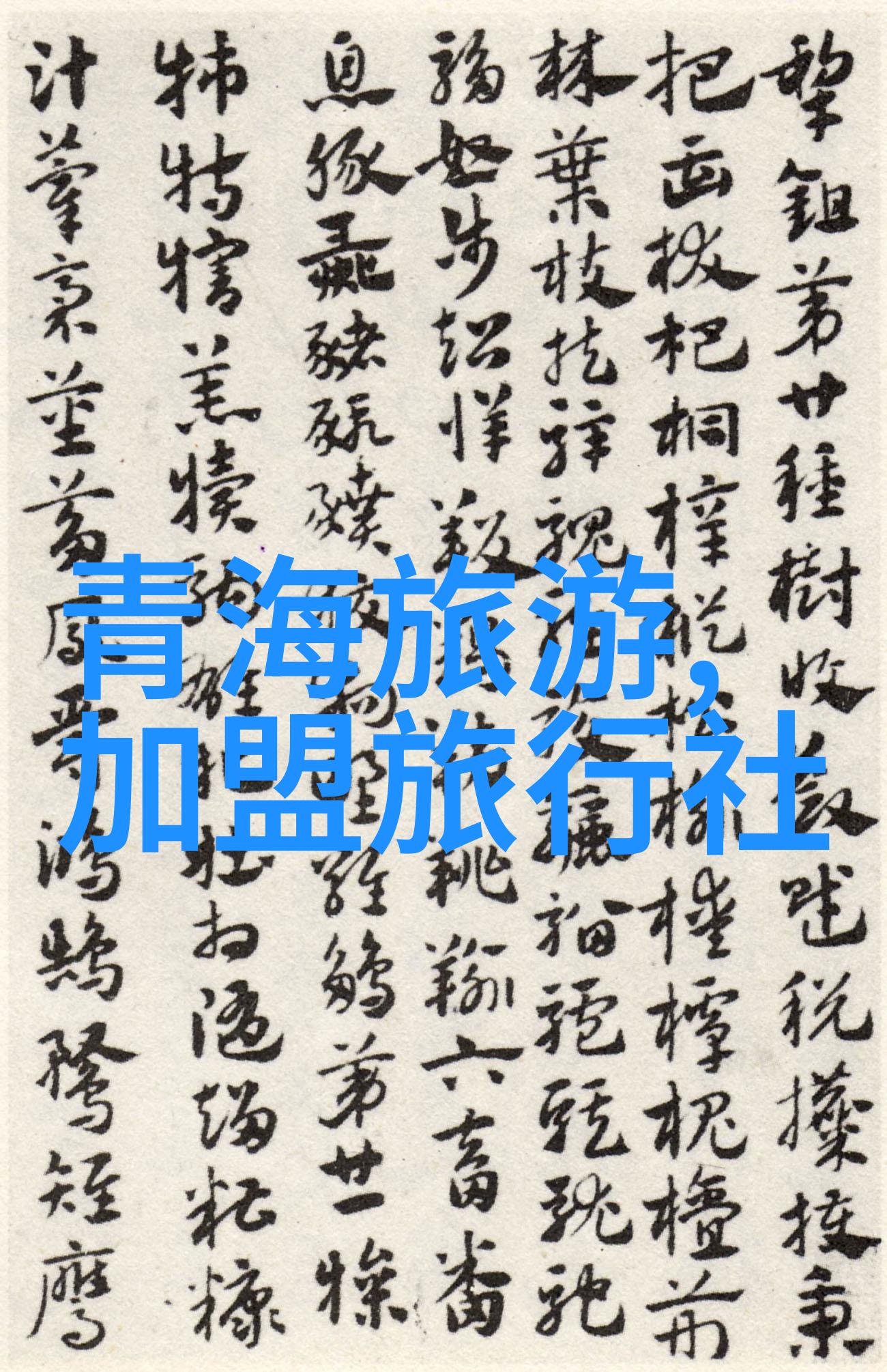 社交媒体上关于北京牛街小吃的讨论热点是什么内容呢