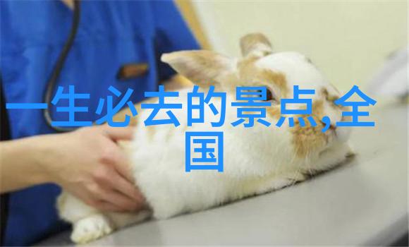 在山间小道上找寻灵魂的归宿高山湖泊之行