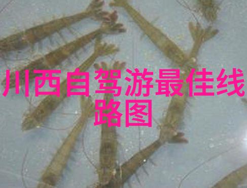 苏州梦回古韵剖析旅游必游胜地