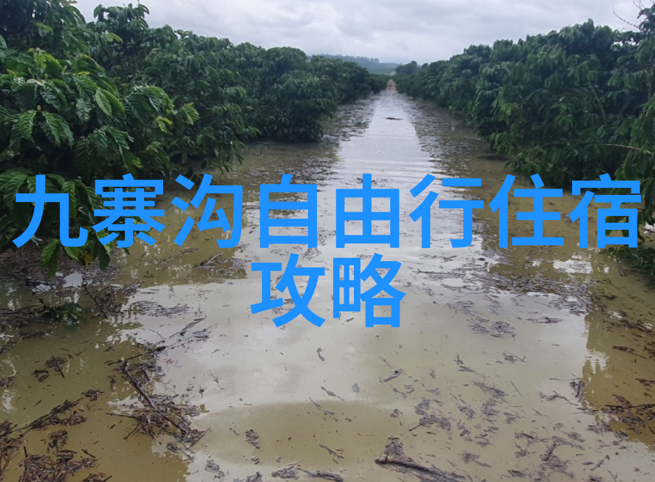 户外探险之旅野性生存技能