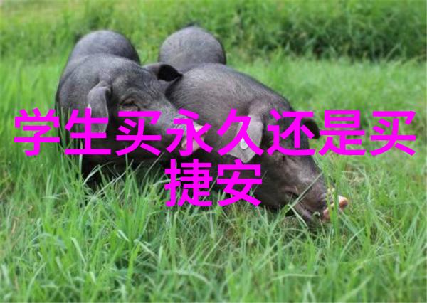 南通旅游必去景点探索古韵与现代的魅力之地