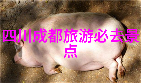 效率与和谐并进团队拓展训练的双重效应
