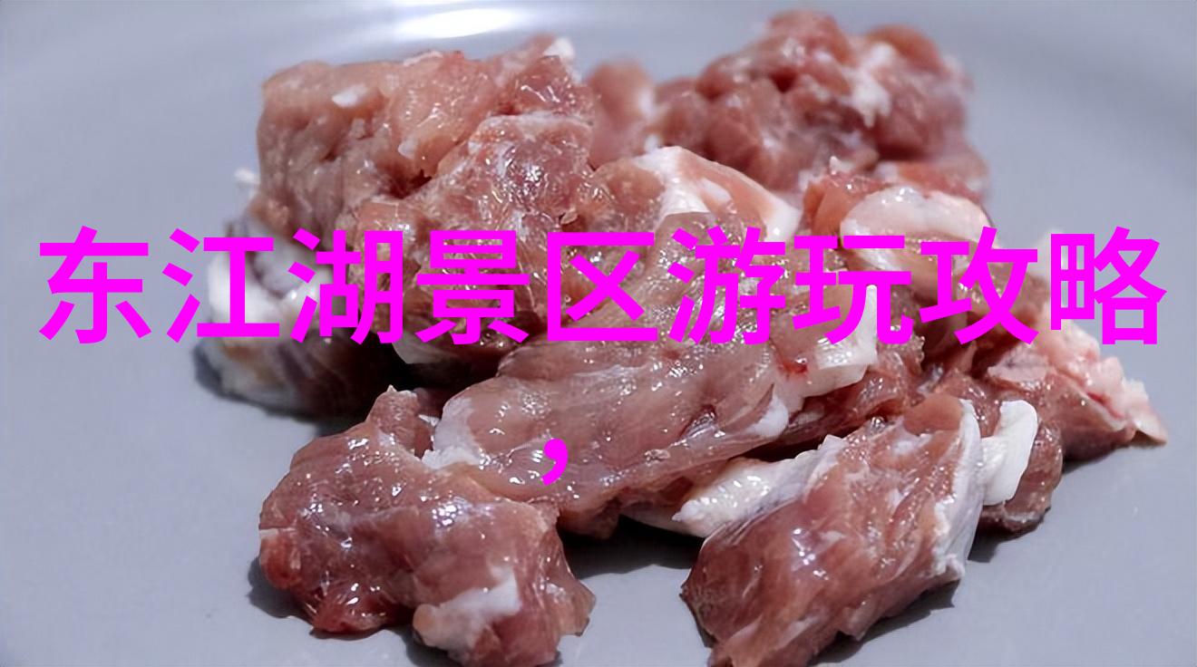 南极冰原上的科学探险家未知世界的第一步