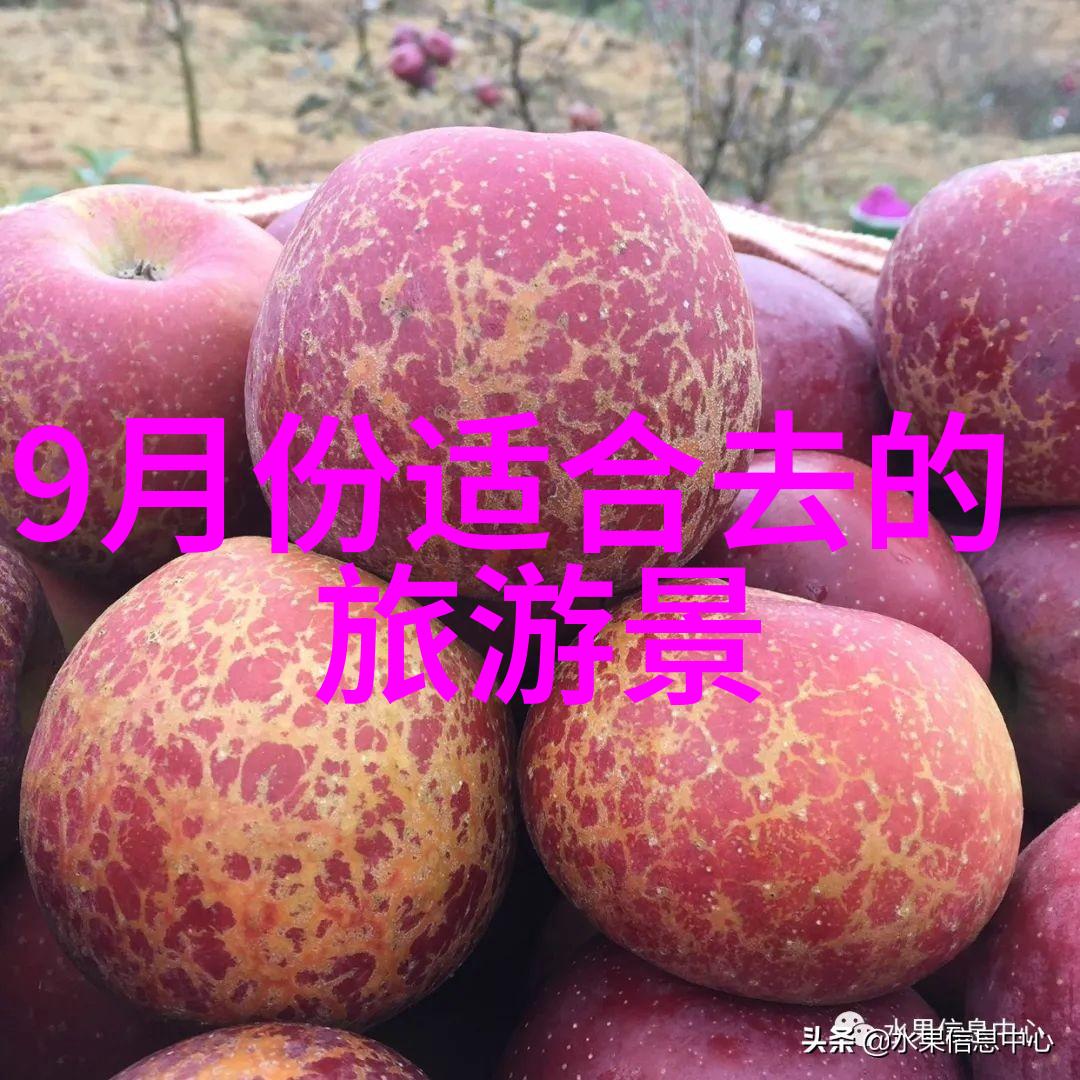 寒冷的冬日南方之美探秘12月最适合旅游的热门景点