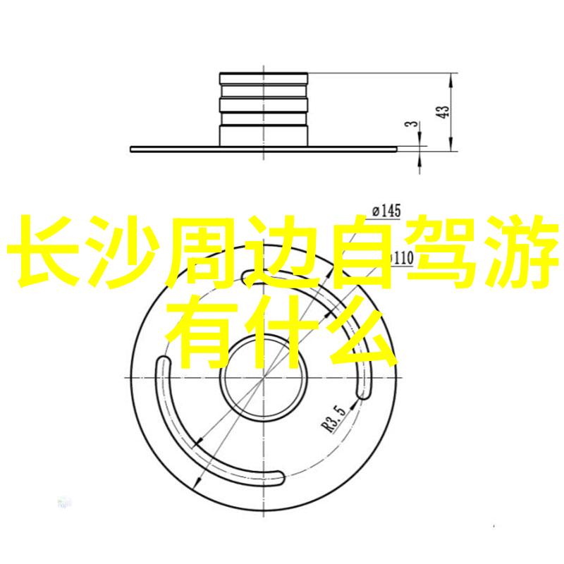 品味沪味揭秘上海美食的传奇