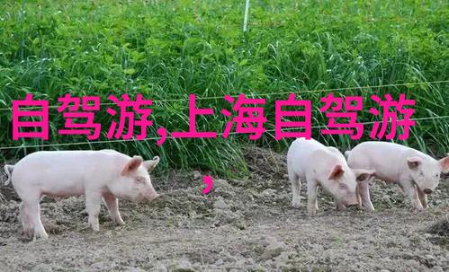 中国旅游奇迹梦幻轮回