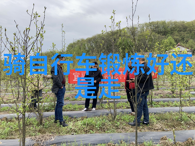 准备好时间机器了吗深入解读莫高窟壁画