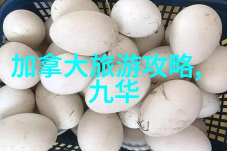 东北旅游线路-探秘东北的冰雪奇缘哈尔滨长春吉林一条龙之旅