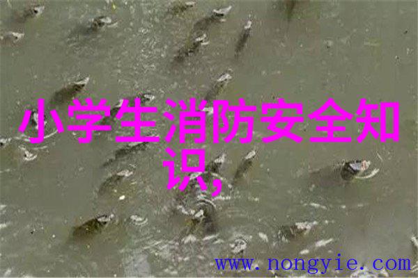 小兵传奇全文阅读我是如何成为英雄的小兵的逆袭故事