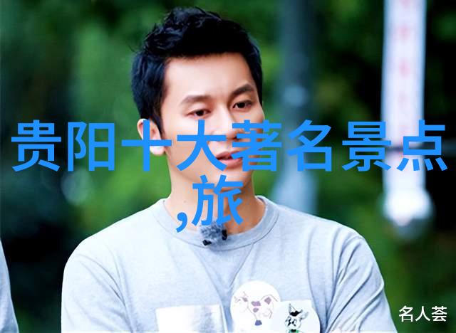 国门开放的谜题如何判断当前是否允许出国旅行