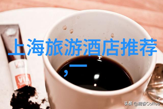 探索美好旅程揭秘最佳旅行伴侣