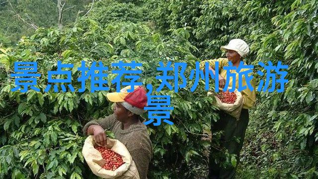 自然风光与人文景观四川旅游最佳时节是哪个
