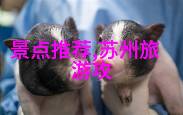 客人盈门的痛苦一家旅馆老板如何在繁忙中经历了生命的挣扎