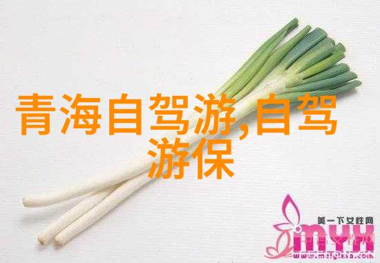 上海小吃一条街叫什么你知道吗那些年我们追的是味道的那条街