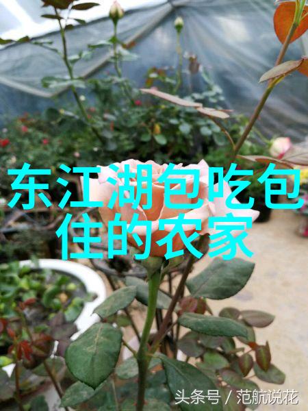 世界上十大景点你一定要去的神奇地标