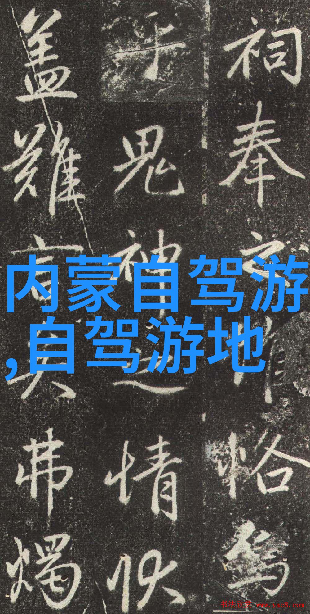 世界自行车排行榜速度与激情的赛道