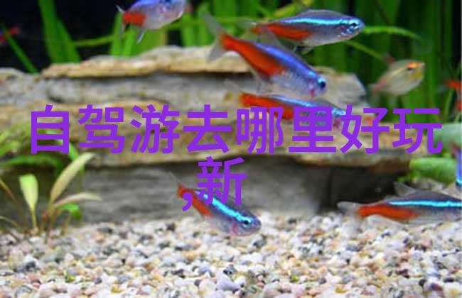 大同旅游指南揭秘历史古迹与自然奇观