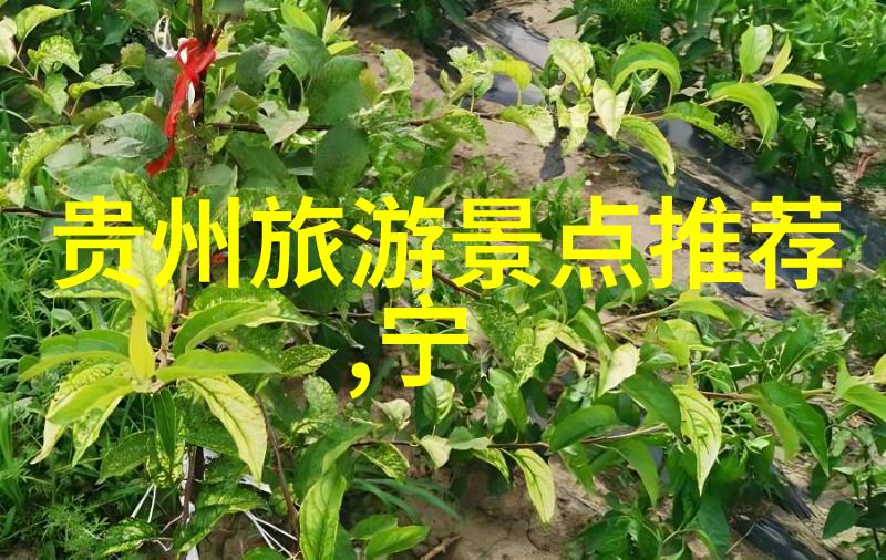 青岛三日游必去景点攻略