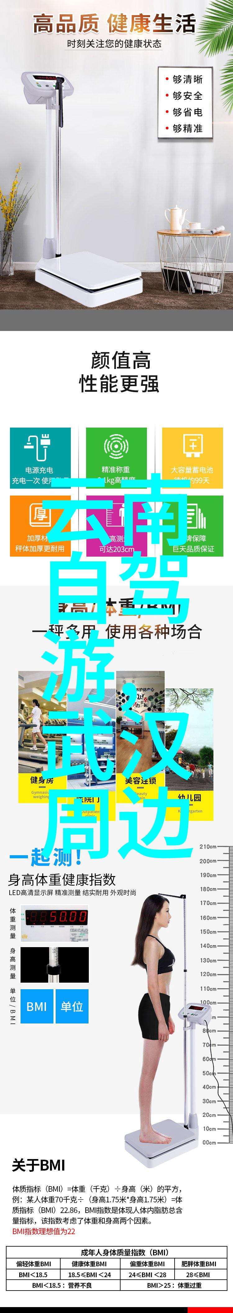 在旅游上什么网站好潍坊风筝博物馆免费开放时间犹如天籁之音般响起让人心生向往