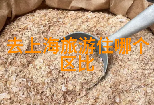 重庆旅游必去景点探索这座城市的魅力与风情