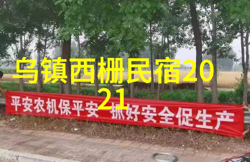保定夜市的热闹篇章
