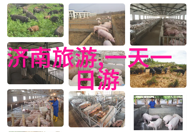 探秘中国旅游数据网洞悉旅行者心声与行程轨迹