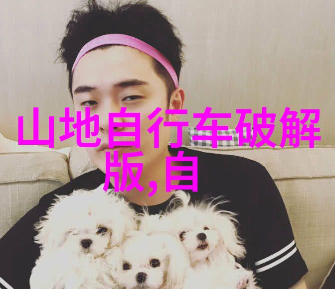 探索光明新区美味宝藏口福满载的街头巷尾