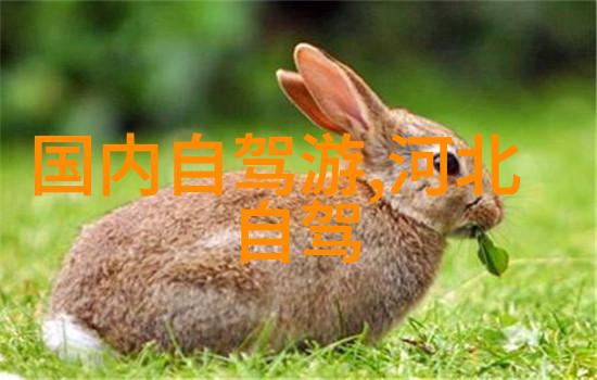探索骑行软件新境界智能APP助力自行车爱好者