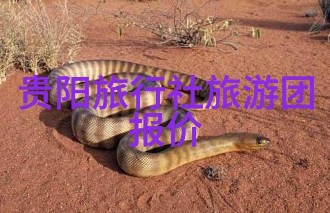 跟随遥远的足迹一起探索8月份最美的小镇