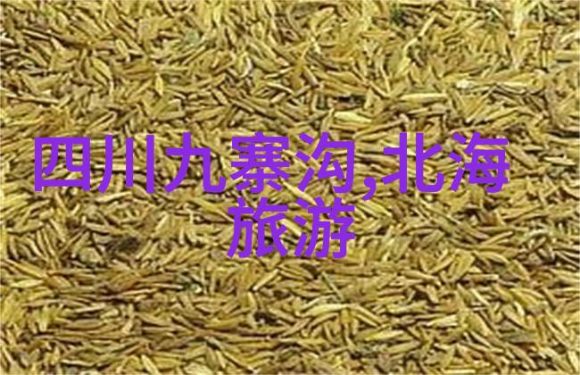 追溯历史揭开骑行界四大谎言背后的故事