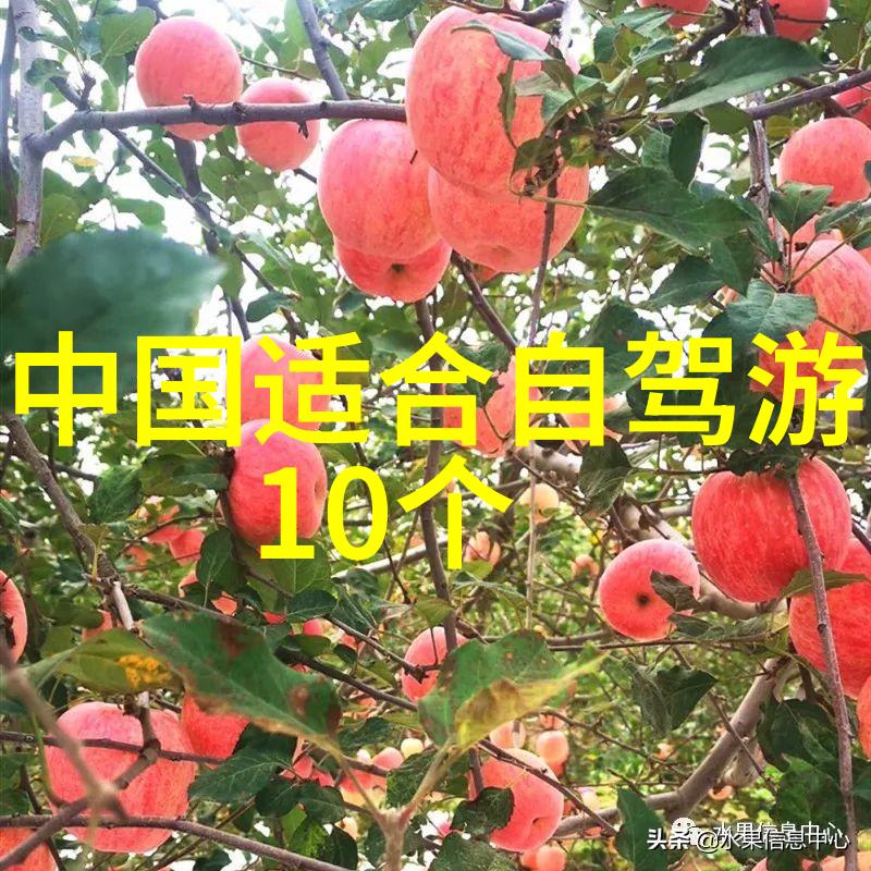 失落古城惊现神秘光环旅游热点今夜揭秘背后的传说与未知之谜