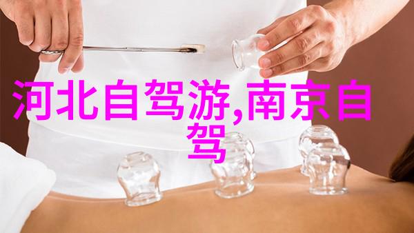 自驾游必备揭秘哪些保险让行程更安心