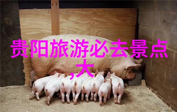 华山一日游转一晚最佳住宿地点有哪些
