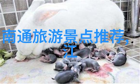 重生隋唐霸占隋唐美人历史穿越爱情