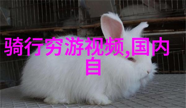赣州住宿攻略研究探究当地民宿文化与旅游体验优化策略