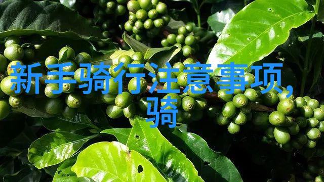 跨文化交流中国与日本的视频直播现状与未来趋势