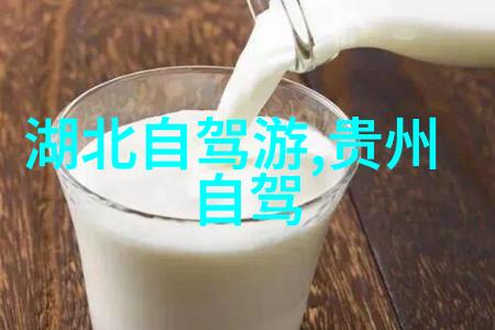 探秘app骑行软件世界功能与优势分析